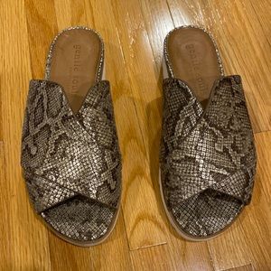 Gentle Souls Lavern X-band slides